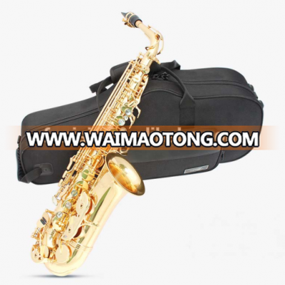 alto saxophone cheap price for students